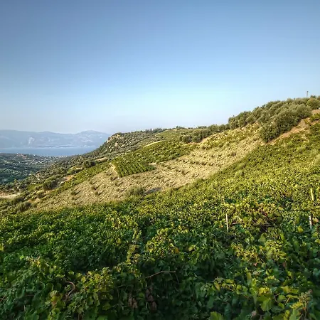 Gerofotis Country House