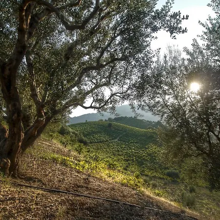 Gerofotis Country House Gefira (Aigialeia)